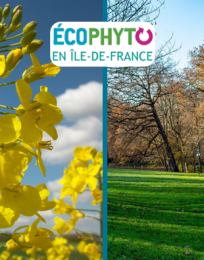 Actualités Phytosanitaire - Bilan 2024